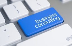 consulting-consultant-sme-05